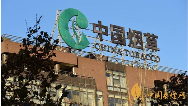 香煙漲價(jià)最新消息2020：香煙漲價(jià)真的能控?zé)焼?>
                                    <span>香煙漲價(jià)最新消息2020：香煙漲價(jià)真的能控?zé)焼?/span>
                                    <p>現(xiàn)在我國(guó)煙民的基數(shù)在不斷增大，而且有越來(lái)越多的青少年加入吸煙</p>
                                </a>
                            </li>
                                                                                </ul>
                    </div>

                </div>
            </div>
        </div>
    </div>

    
<link rel=