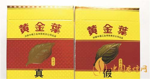 如何辨別黃金葉金滿堂真假？2020黃金葉真假辨別詳情對比