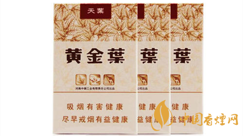 2020黃金葉天葉怎么樣？黃金葉大小天葉有什么不同