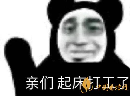 早安打工人是什么梗？早安打工人梗語錄大全