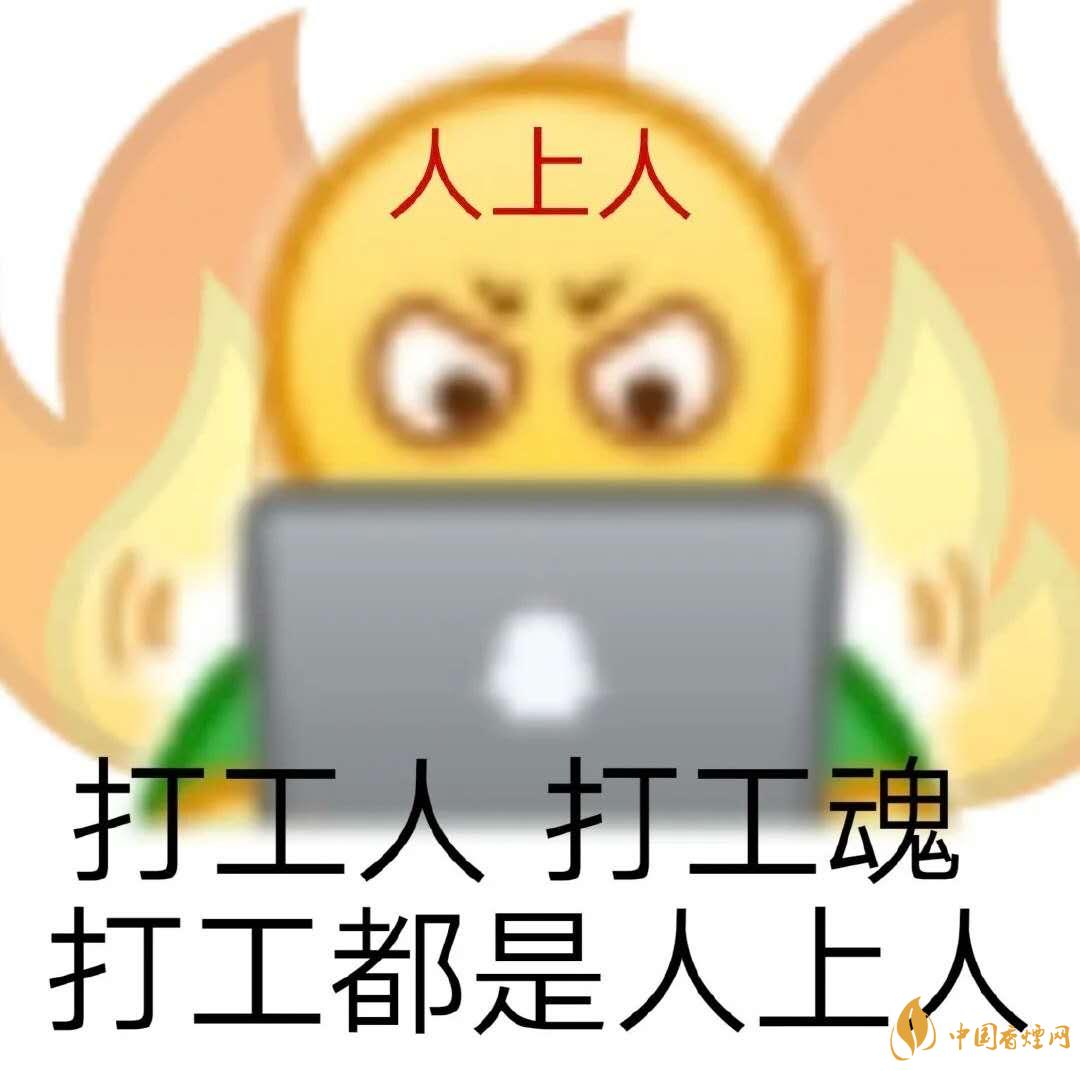 早安打工人是什么梗？早安打工人梗語錄大全