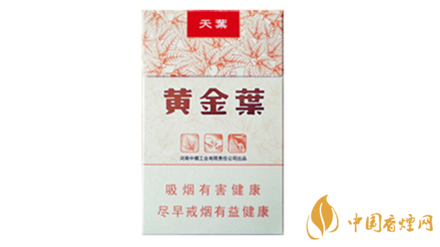 黃金葉天葉真假怎樣區(qū)分？黃金葉天葉真假識(shí)別