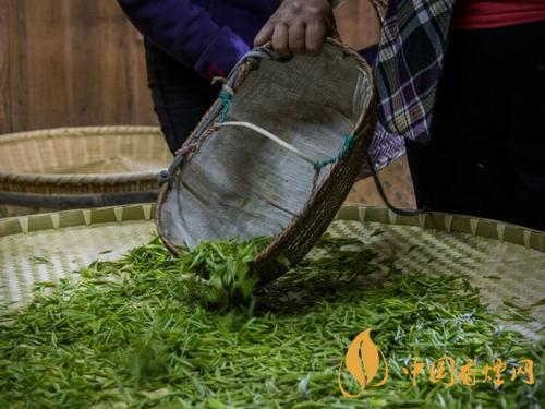 黃花云尖茶葉禮盒價(jià)格 黃花云尖多少錢(qián)一斤