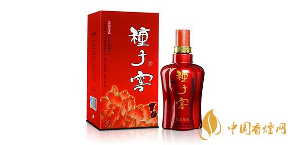 種子窖酒紅花經(jīng)典52度多少錢(qián)一瓶 種子窖酒紅花經(jīng)典口感如何