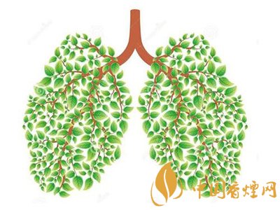 相比癌癥慢阻肺疾病離吸煙者更近！
