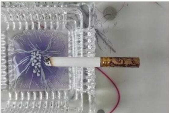 黃鶴樓漫天游，除了短貴沒別的毛病