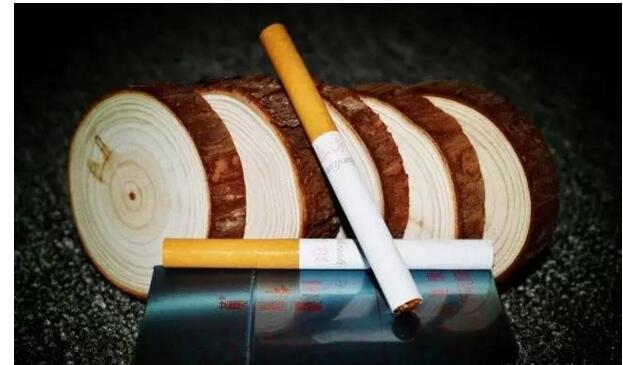黃鶴樓游泳回歸，爺爺輩最喜愛的香煙品牌