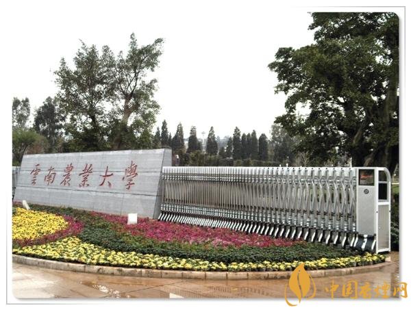 煙草專業(yè)大學排名，煙草專業(yè)就業(yè)前景好