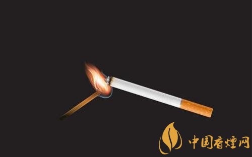 香煙的藥用價值有哪些，止血止痛放腳臭