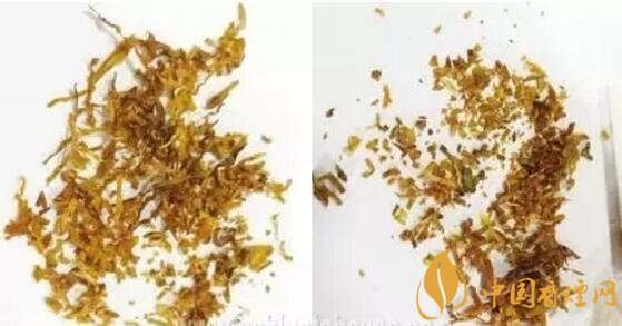 冬蟲夏草（和潤(rùn)）真假鑒別，春節(jié)防止被騙