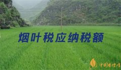 煙葉稅屬于什么稅種(行為稅) 煙葉稅是國(guó)稅還是地稅